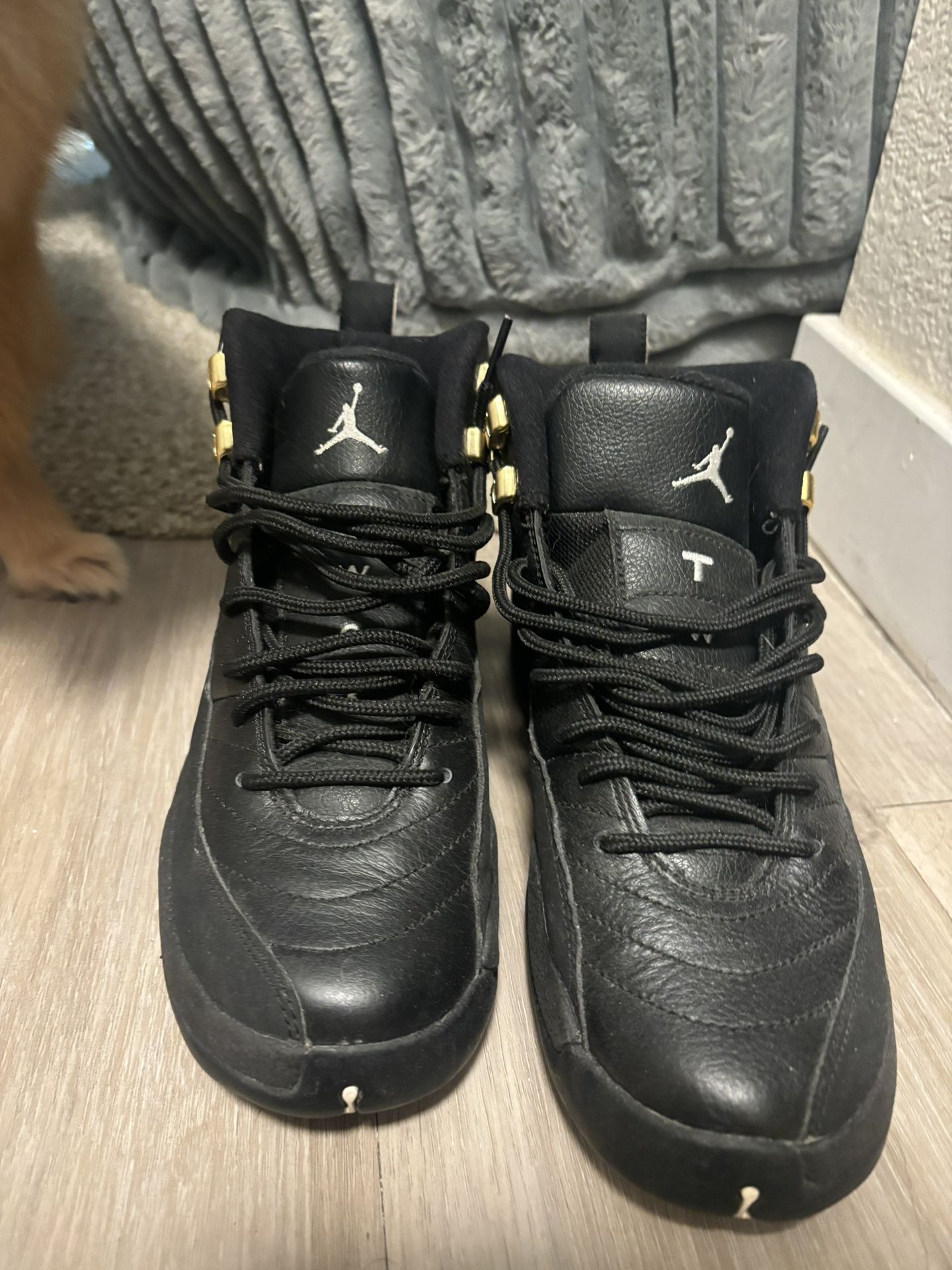 Air Jordan 12 Retro “The Master” size 5.5