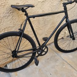 Med to tall rider fixie