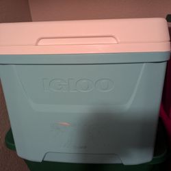 Igloo Cooler