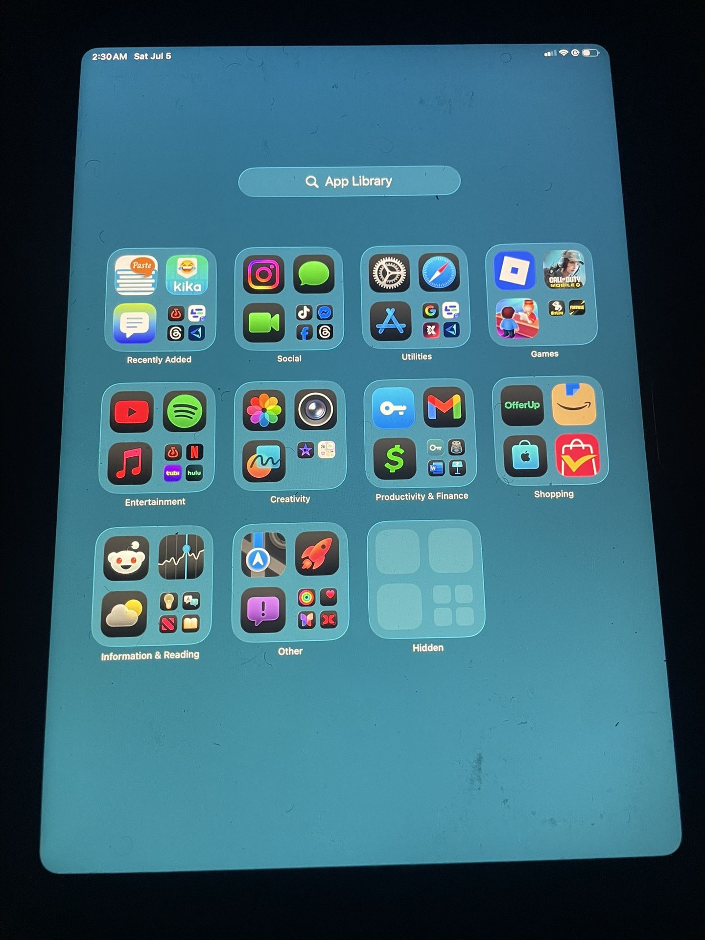 iPad