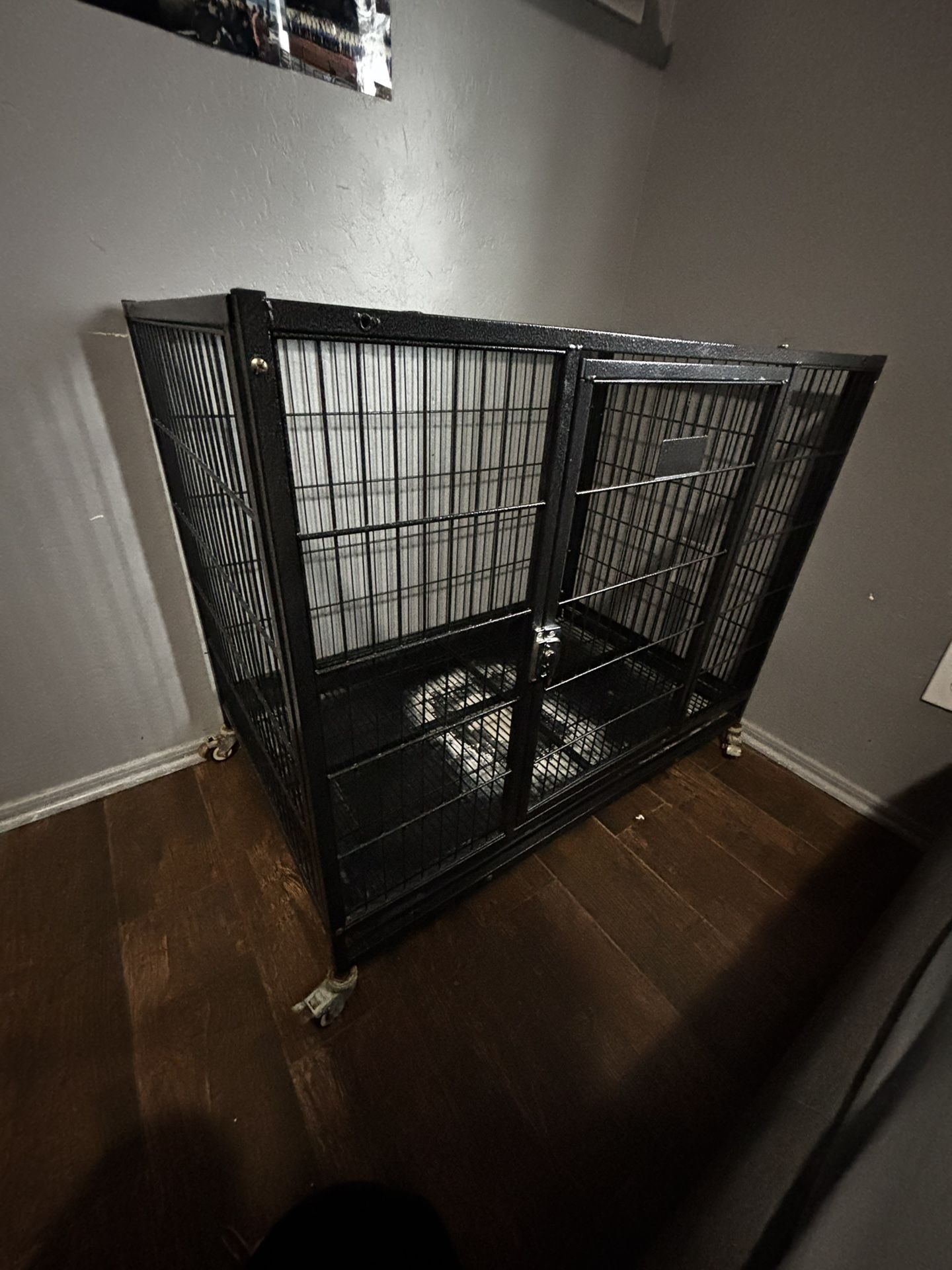 Dog Cages