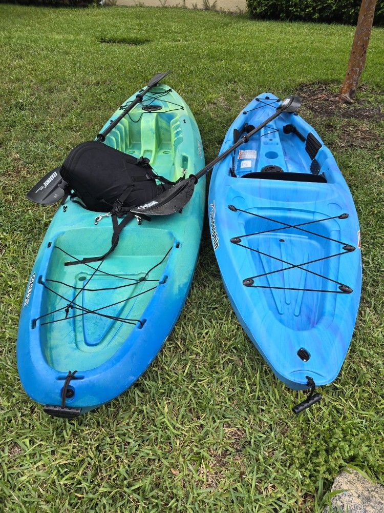 Sundolphin And Pelican