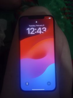 iPhone 12 Pro Max 256g