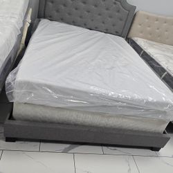 Queen Sizes Bed 