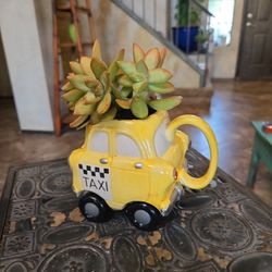 Super Sweet Succulents In Adorable Ceramic PotPot That Rolls