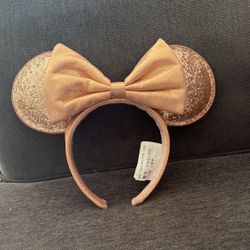 Disney Minnie Ears $25 