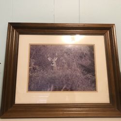 Wood Framed Art