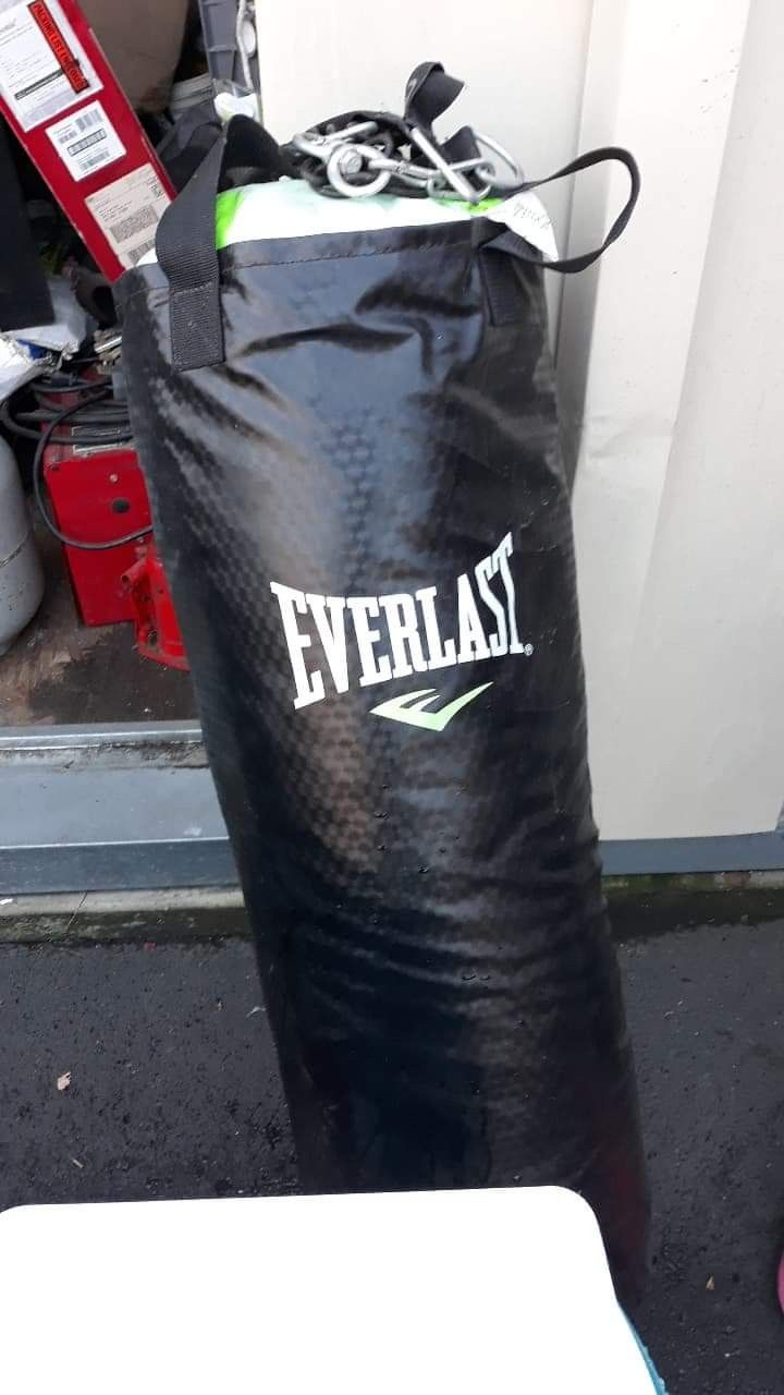 Punching Bag everlast