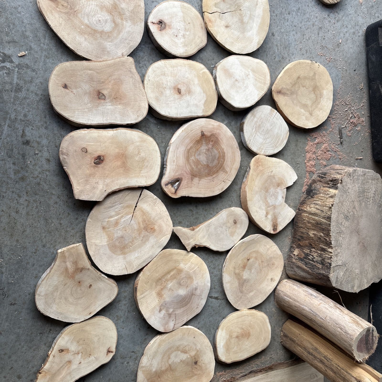 Sycamore Cookie Slices