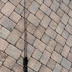 Conventional Fishing Rod