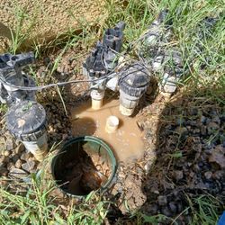 Lawn And Sprinkler 