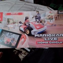 Mario kart Live Home Curcuit