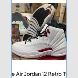 Nike Air Jordan 12 Retro Twist CT8013-106 Used Sz9.5