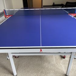 Ping Pong Table  For Christmas!