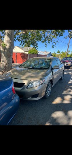 2010 Toyota Corolla