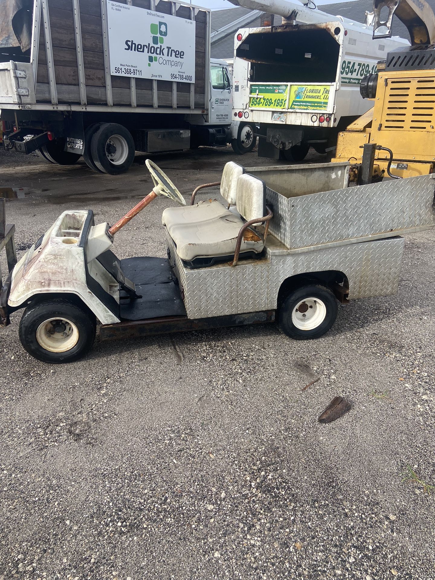 Gas Yamaha Golf Cart