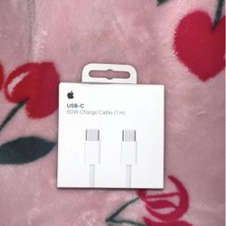 USB-C iPhone Charger 