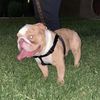 Miguel