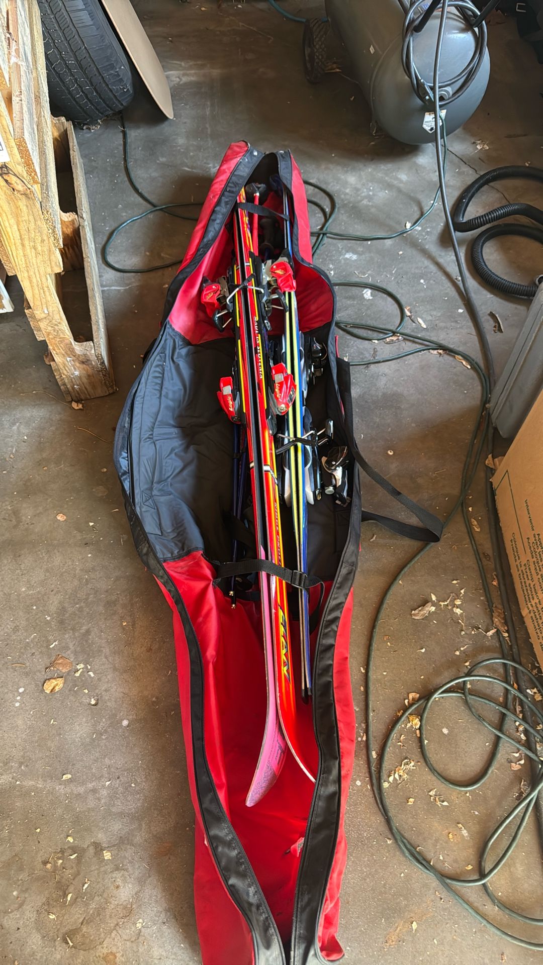 Adult Skis(2)