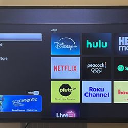 50” Vizio TV **Roku stick not included**