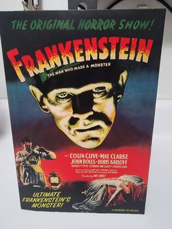 FRANKENSTEIN THE MAN WHO MADE A MONSTER