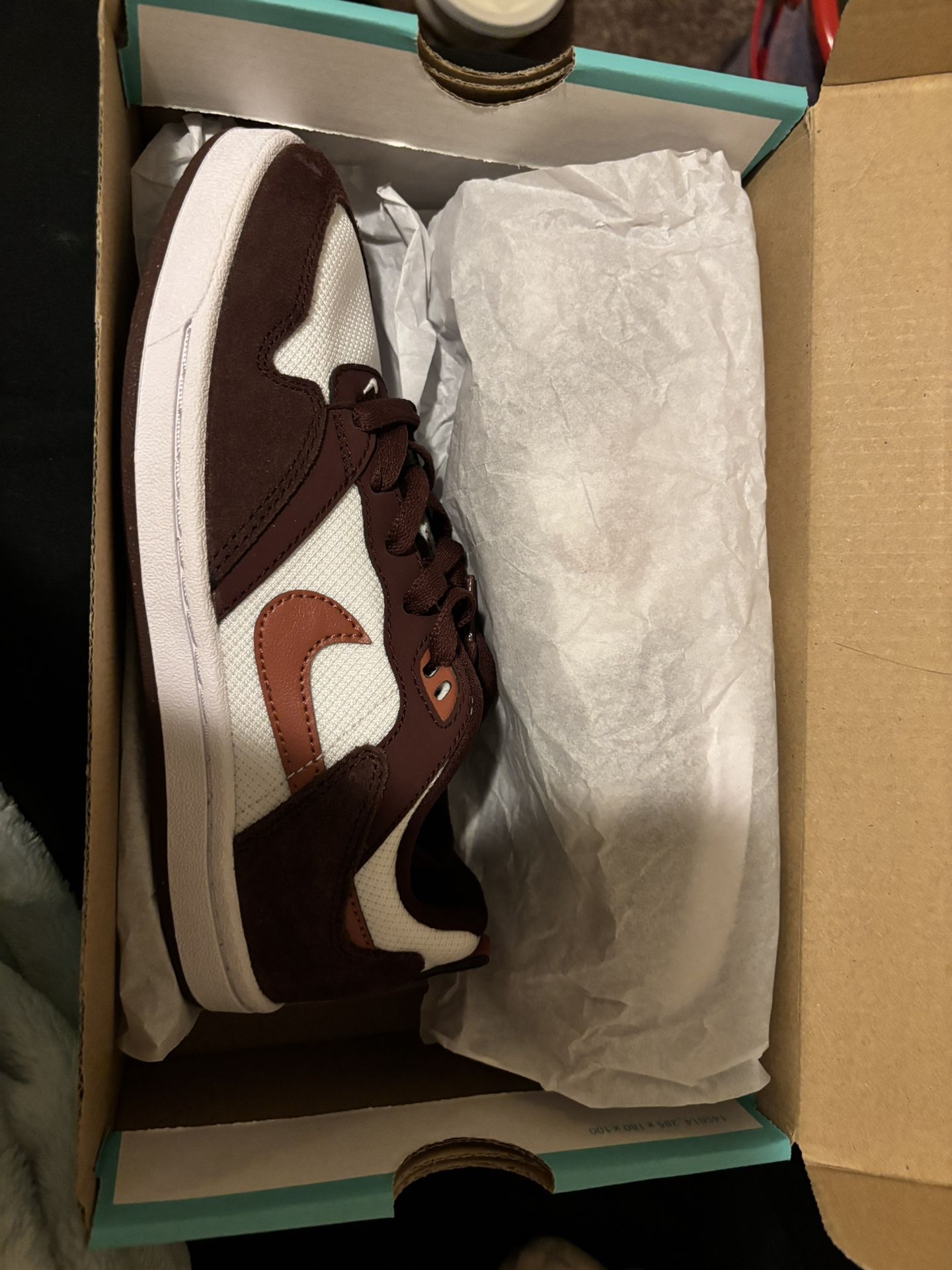 Nike Sb Shoes