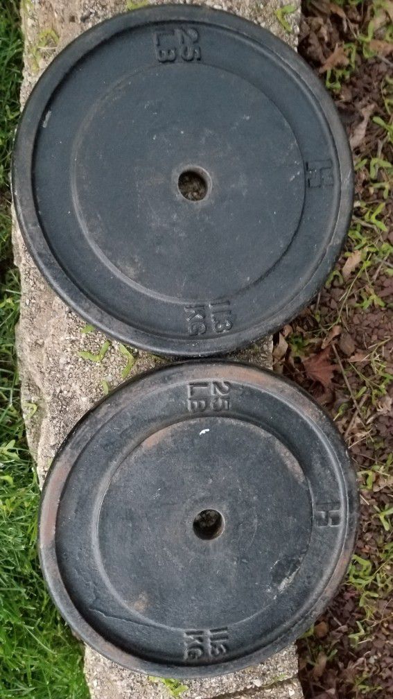 2 - 25lb 1" Standard Barbell Plates 