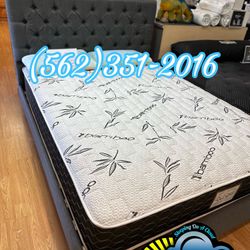 Bamboo Queen Mattress With Bed Frame New 
