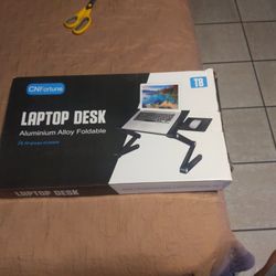 Laptop Desk