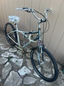 Sole  Ride 100 Trek bicycle