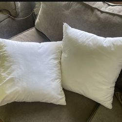 Two Couch Pillows 