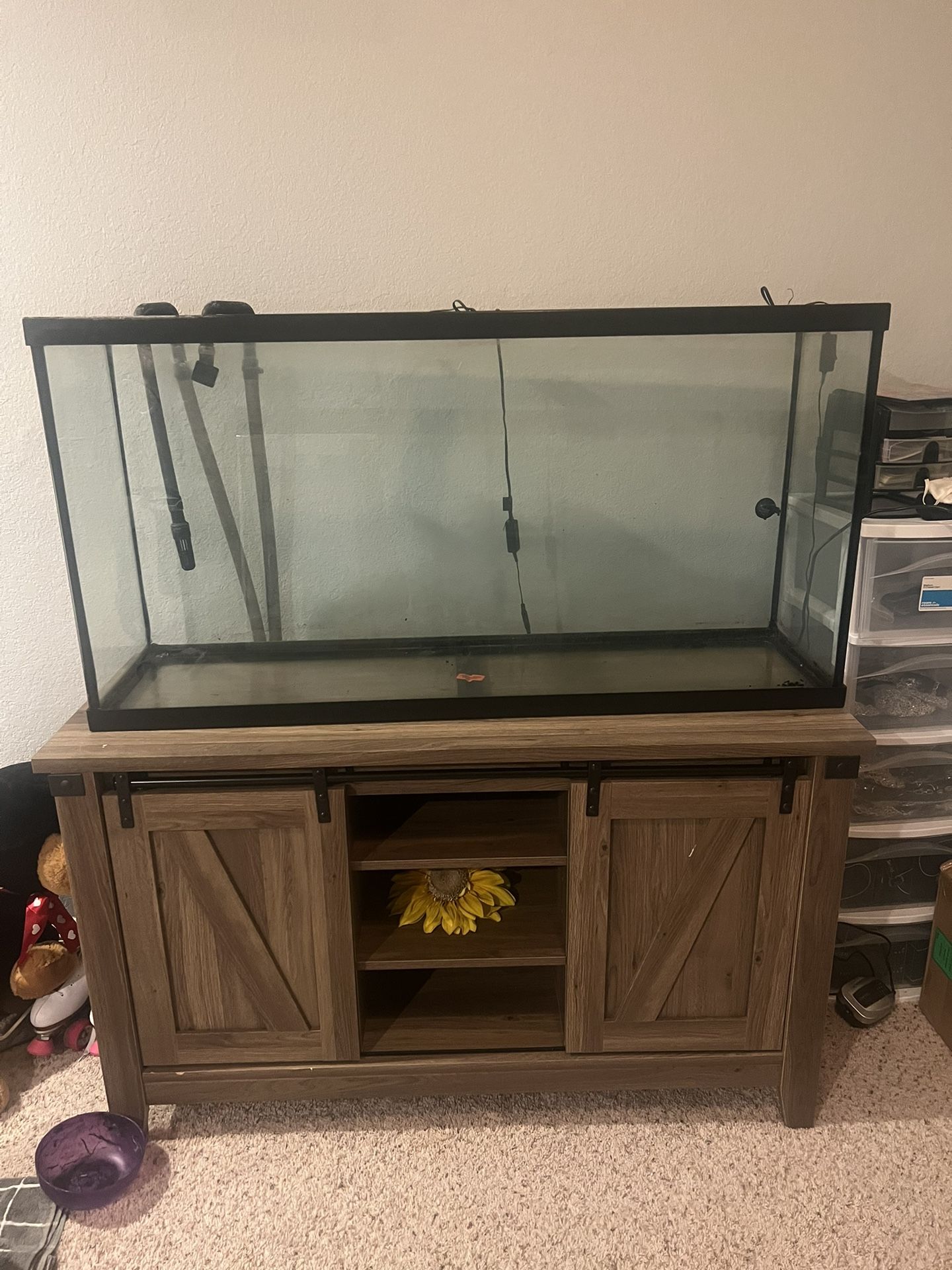75g Fish Tank Full Set Up
