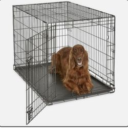 B42 Folding Crate For Large Dogs And Gimars Pet training Pads