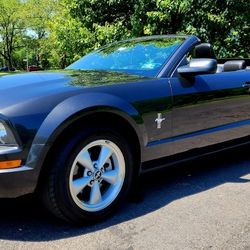 2008 Ford Mustang