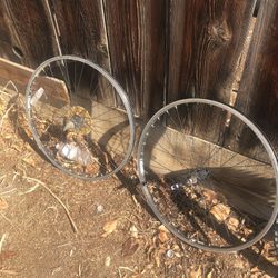 Mountain Bike Wheel 