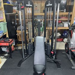 Inspire FTX Functional Trainer