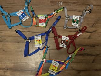 Horse Halter