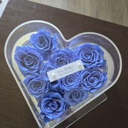 Blue Forever Roses 