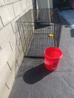 Animal cage dog kennel