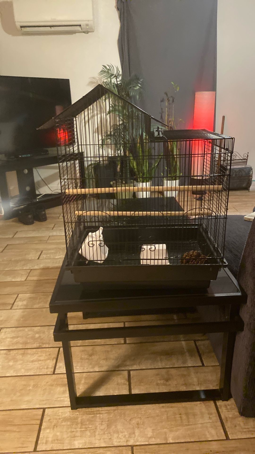 Bird Cage Never Used