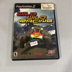 Wild Wild Racing (PS2, PlayStation 2, 2000)