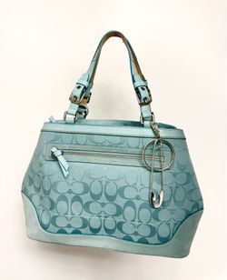rare early 2000s coach bag