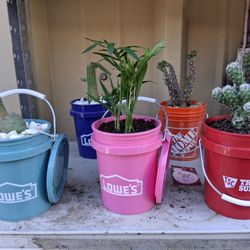 Mini Plant Bucket