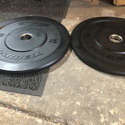 Rubber Pair 10lb Plates Olympic Weights