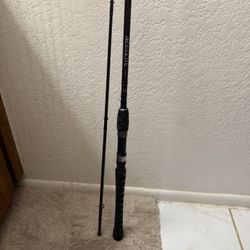 Daiwa Acculite 9’6