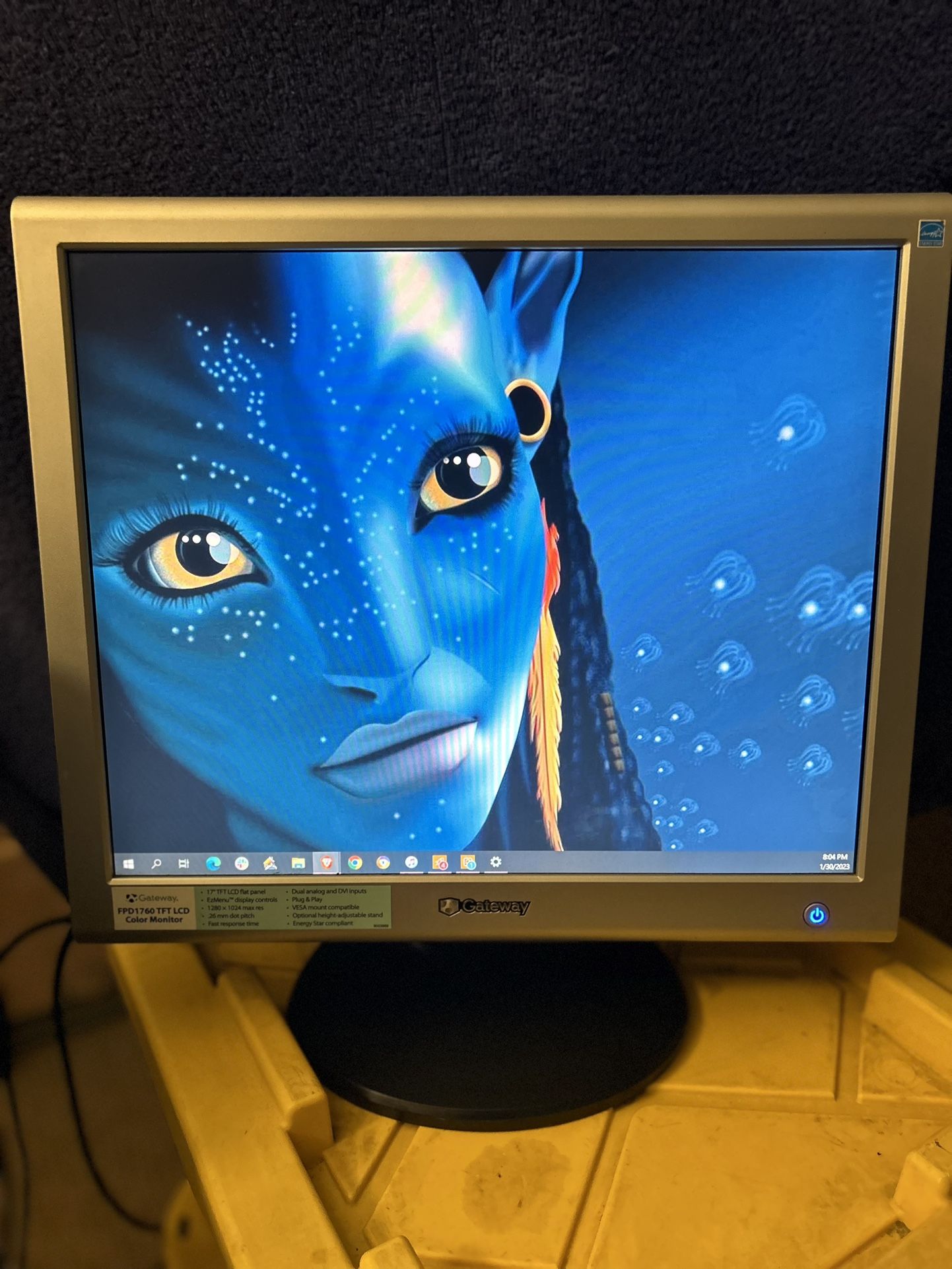 Dell Gateway 17” LCD Flat Panel Monitor