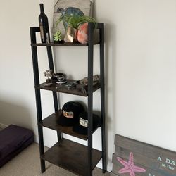 Ladder Book Shelf