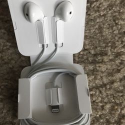 Apple Original Earphone
