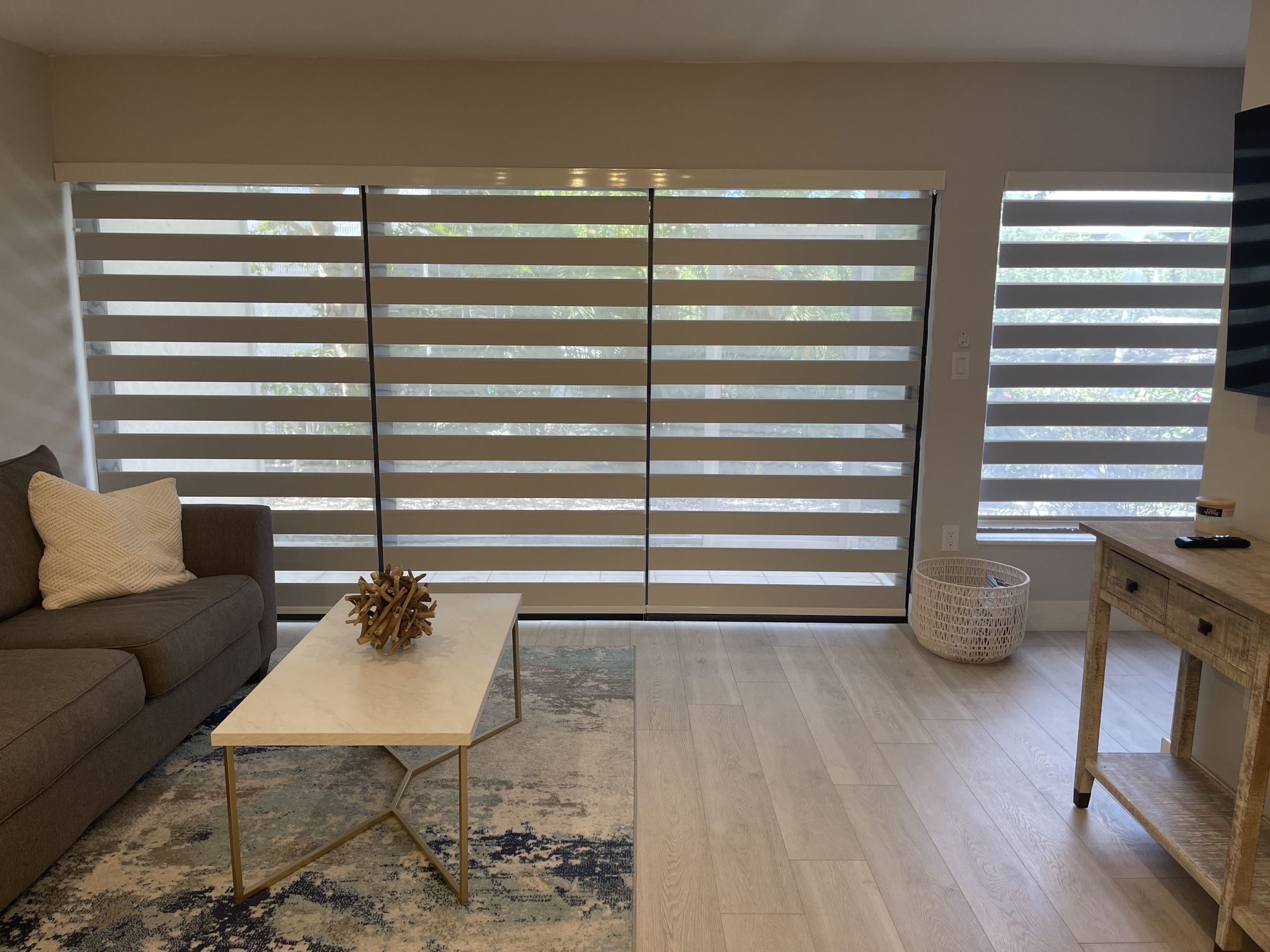 Zebra Blinds and Roller Shades (Cortinas)