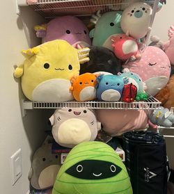 Squishmallows 